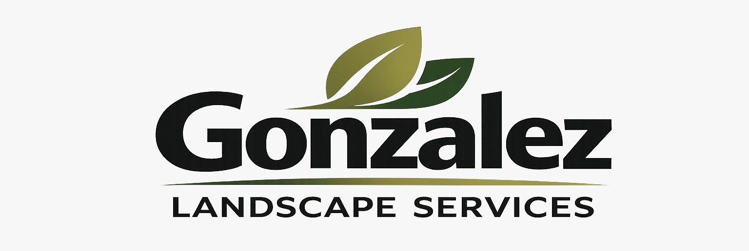 cropped WhatsApp Image 2026 01 03 at 5.13.42 PM